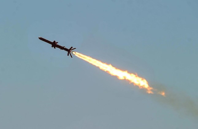 A Ukrainian subsonic cruise missile R-360 Neptune.